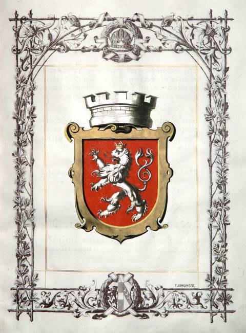Ronov nad Doubravou, znak města v privilegiu z 29. 4. 1909 (foto Státní okresní archiv v Chrudimi).